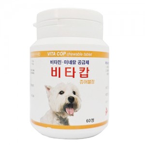 비타캅 츄어블정 60정 고단위 종합비타민