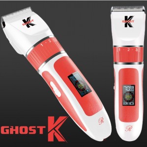 리케이 고스트K 프로이발기