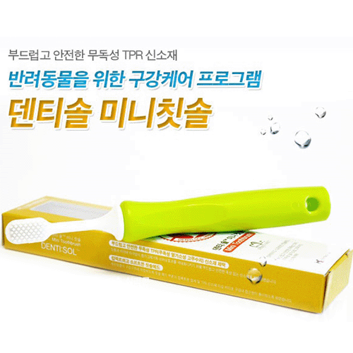 덴티솔 미니칫솔
