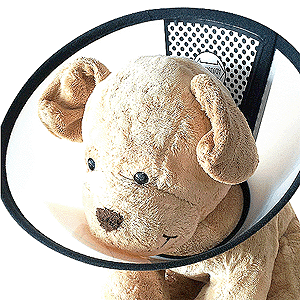 펫 프로텍션 커버(넥칼라)7호