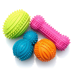 펫모닝 스퀴크 덴탈토이1P (PMD167)