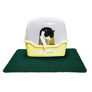 힐링타임 고양이 모래매트(NH320) (그린)