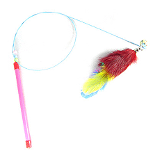 캣티클러&Two tail