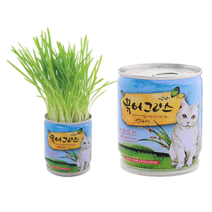 펫데이즈 퓨어그라스 귀리[무공해,무농약 씨앗]